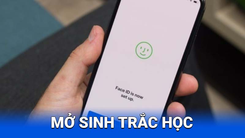 Mo-sinh-trac-hoc-3