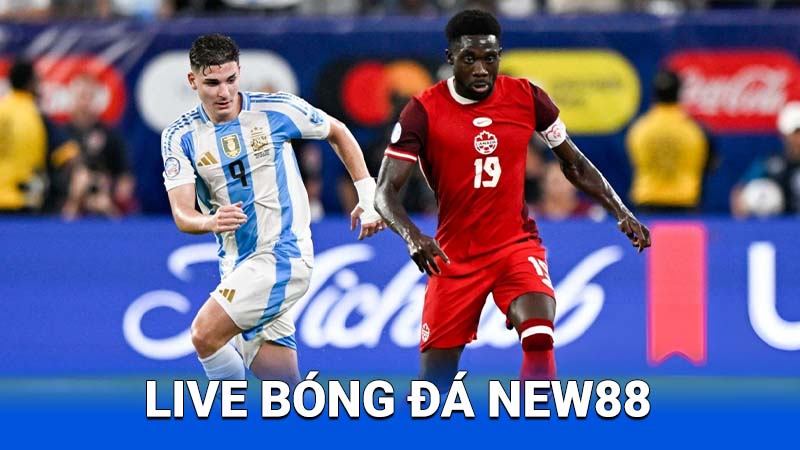 live-bong-da-new88-2