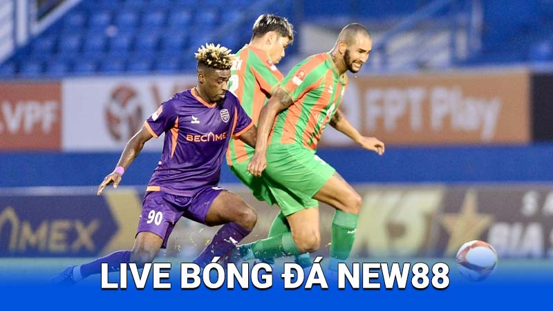 live-bong-da-new88-3